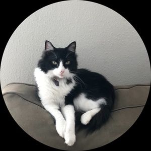 Meet your Posher, Lisa